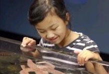 Adventure Tour Aquarium